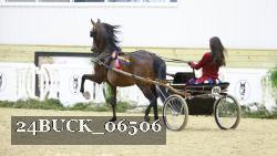 24BUCK_06506 thumbnail