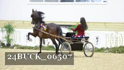 24BUCK_06507 thumbnail