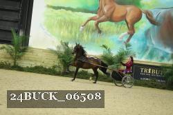 24BUCK_06508 thumbnail