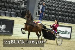 24BUCK_06510 thumbnail