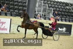 24BUCK_06511 thumbnail