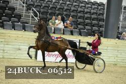 24BUCK_06512 thumbnail