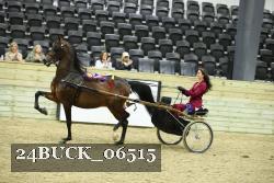 24BUCK_06515 thumbnail