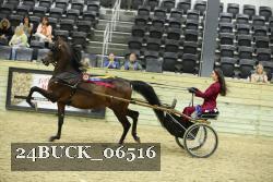 24BUCK_06516 thumbnail