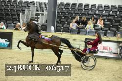 24BUCK_06517 thumbnail