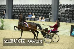 24BUCK_06519 thumbnail