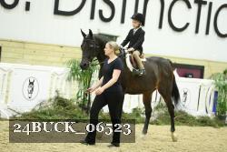 24BUCK_06523 thumbnail