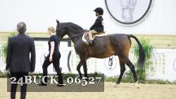 24BUCK_06527 thumbnail