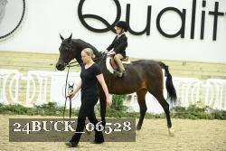 24BUCK_06528 thumbnail