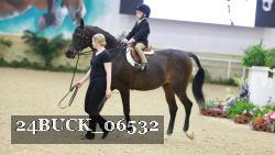 24BUCK_06532 thumbnail
