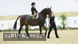 24BUCK_06547 thumbnail