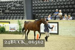 24BUCK_06562 thumbnail