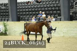 24BUCK_06563 thumbnail