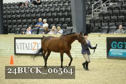 24BUCK_06564 thumbnail