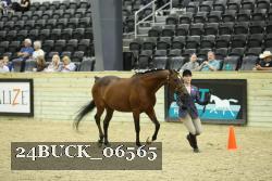 24BUCK_06565 thumbnail
