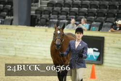 24BUCK_06566 thumbnail