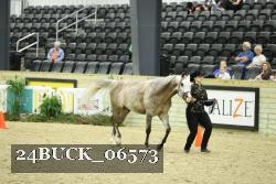 24BUCK_06573 thumbnail