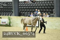 24BUCK_06574 thumbnail