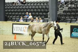 24BUCK_06575 thumbnail
