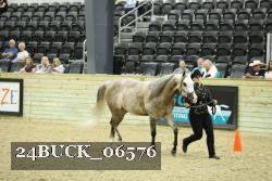 24BUCK_06576 thumbnail