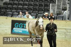 24BUCK_06577 thumbnail