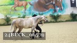 24BUCK_06579 thumbnail