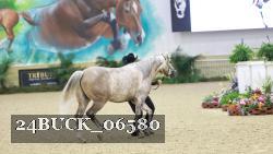 24BUCK_06580 thumbnail