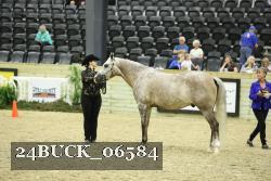 24BUCK_06584 thumbnail