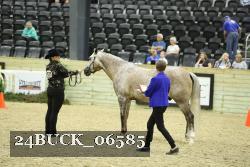 24BUCK_06585 thumbnail