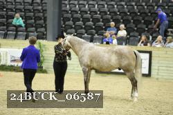 24BUCK_06587 thumbnail