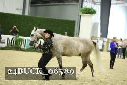 24BUCK_06589 thumbnail