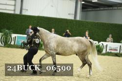 24BUCK_06590 thumbnail