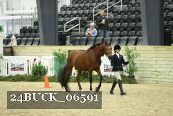 24BUCK_06591 thumbnail