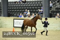 24BUCK_06592 thumbnail