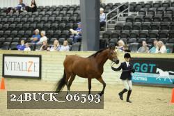 24BUCK_06593 thumbnail
