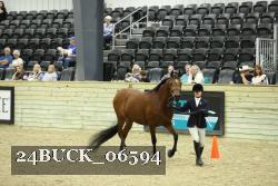 24BUCK_06594 thumbnail