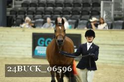 24BUCK_06596 thumbnail