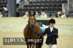 24BUCK_06597 thumbnail