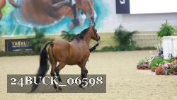 24BUCK_06598 thumbnail