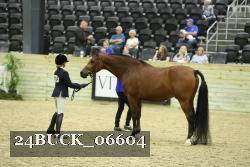 24BUCK_06604 thumbnail