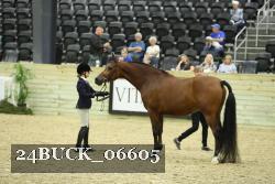 24BUCK_06605 thumbnail
