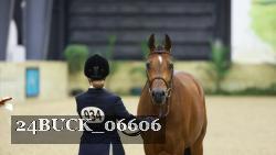 24BUCK_06606 thumbnail