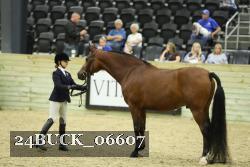 24BUCK_06607 thumbnail
