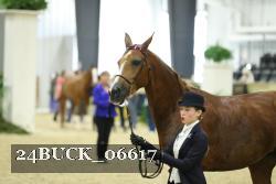 24BUCK_06617 thumbnail