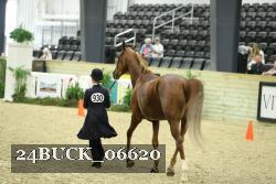 24BUCK_06620 thumbnail