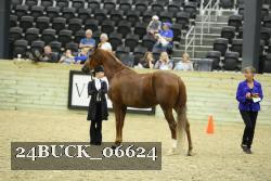 24BUCK_06624 thumbnail