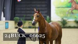 24BUCK_06625 thumbnail