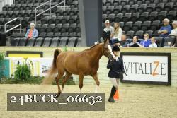 24BUCK_06632 thumbnail