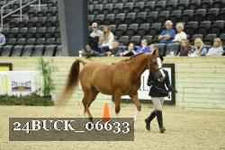24BUCK_06633 thumbnail