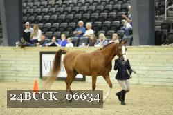 24BUCK_06634 thumbnail